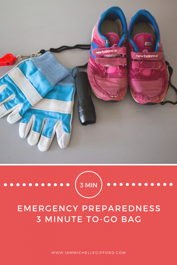 EMERGENCY PREPAREDNESS Power of 3's What's in your to go bag First 3 minutes I am Michelle Gifford